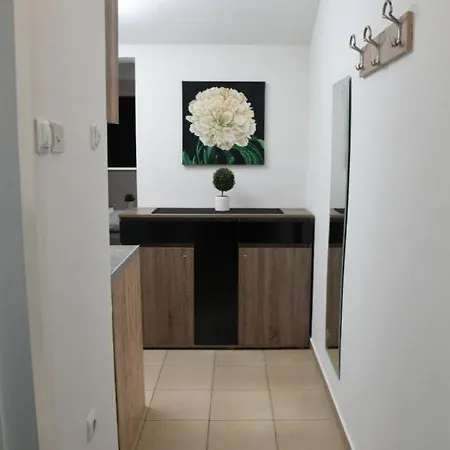 Siena Novi Sad