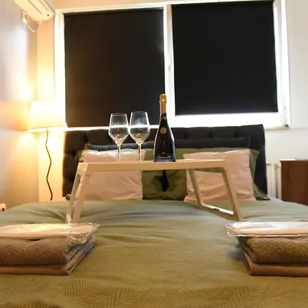 Siena * ノヴィ・サド